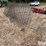 wire-16'-livestock-panels-image-7