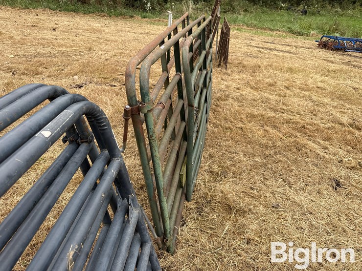 steel-12'-gates-image-2