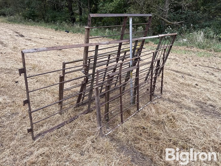 steel-40"-livestock-panels-image-1