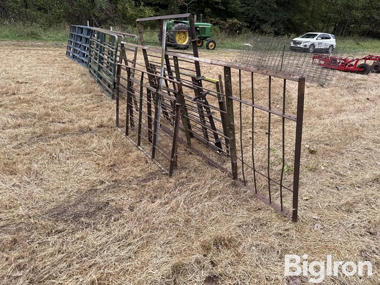 steel-40"-livestock-panels-image-7