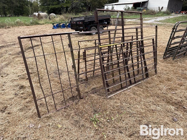 steel-40"-livestock-panels-image-5