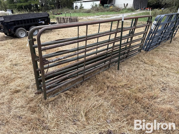 steel-12'-gates-image-5