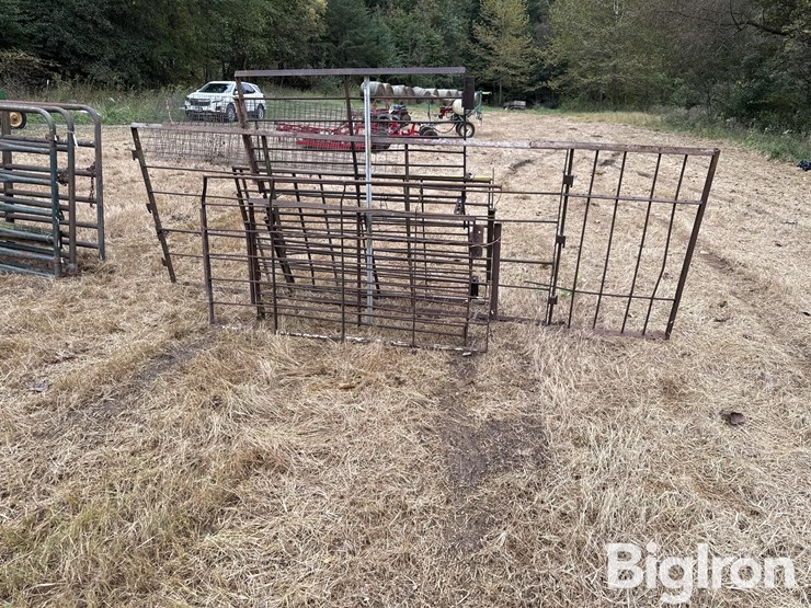 steel-40"-livestock-panels-image-8