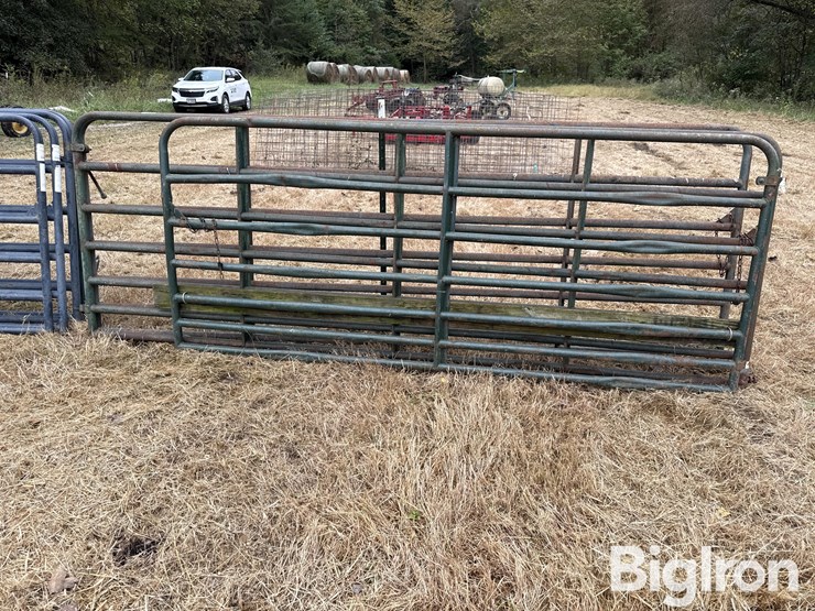 steel-12'-gates-image-8