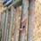 steel-12'-gates-image-11