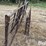 steel-40"-livestock-panels-image-10