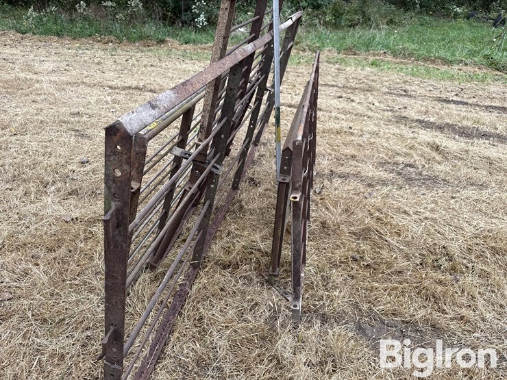 steel-40"-livestock-panels-image-10
