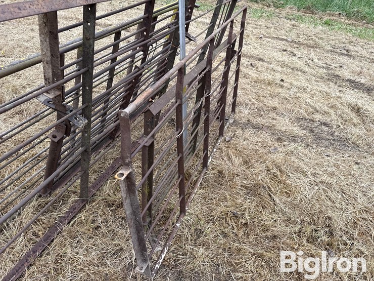 steel-40"-livestock-panels-image-9