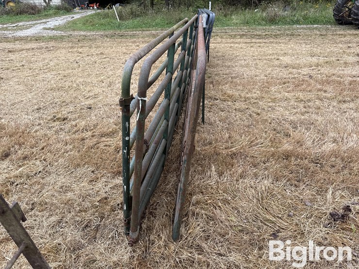 steel-12'-gates-image-6