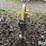 greenline-em5000-post-hole-digger-image-6