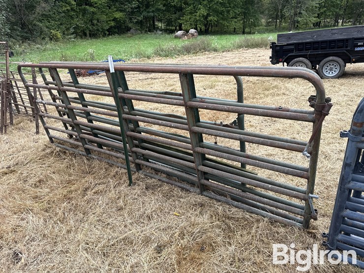 steel-12'-gates-image-3
