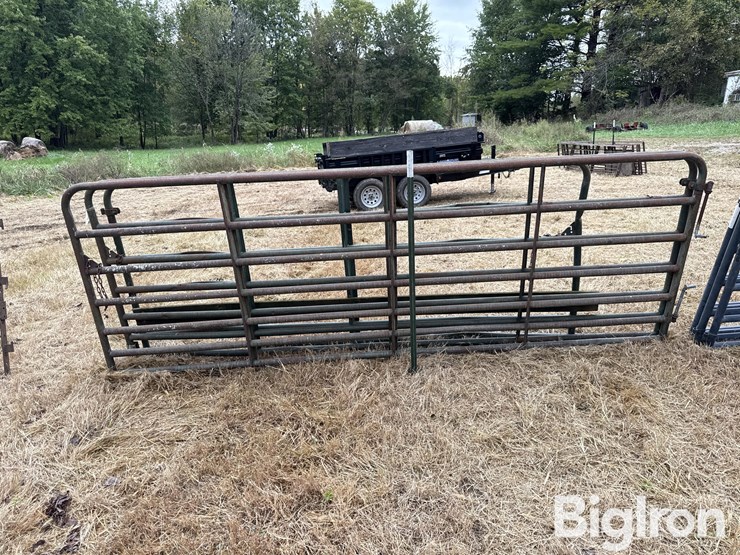 steel-12'-gates-image-4
