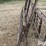 steel-40"-livestock-panels-image-11
