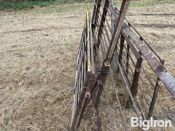 steel-40"-livestock-panels-image-11