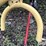 greenline-em5000-post-hole-digger-image-13