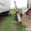 peck-electric-truck-auger-image-2