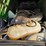 2019-john-deere-5100e-image-50