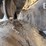 caterpillar-d6d-image-32