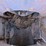 #1025-•-2006-henke-buffalo-1254-roller-mill-image-34