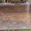 2019-caterpillar-259d3-image-36