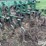 john-deere-er014-rear-mount-cultivator-image-20