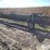 john-deere-400-rotary-hoe-image-1
