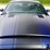 run-#61---2010-shelby-gt500-super-snake-image-16