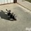 skid-steer-auger-image-3