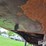 1998-lufkin-48'-t/a-spread-axle-steel-flatbed-trailer-image-13