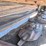 #1027-•-hesston-1375-disc-mower-image-28