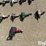 pneumatic-&-electric-hand-tools-image-5