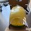 john-deere-starfire-600-globe-image-2