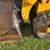 2019-caterpillar-259d3-image-31