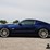 run-#61---2010-shelby-gt500-super-snake-image-9
