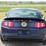 run-#61---2010-shelby-gt500-super-snake-image-7