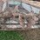 new-idea-214-image-5