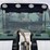 2003-bobcat-toolcat-5600-image-36