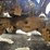 #15804-•-1998-mack-rd688s-dump-truck-image-111