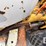 international-cub-lo-boy-image-16