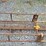 new-holland-132-image-5
