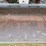 2003-bobcat-toolcat-5600-image-33