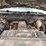 2012-dodge-ram-4500-image-6