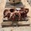 wtm-4-1/2”-dp-elevator-&-mw-3-1/2”-150-t-elevator-image-2