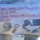 heavy-duty-ratchet-straps-2"x33'-qty.2-image-5