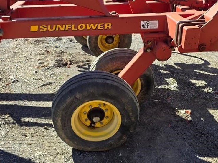 sunflower-4232-17-image-31