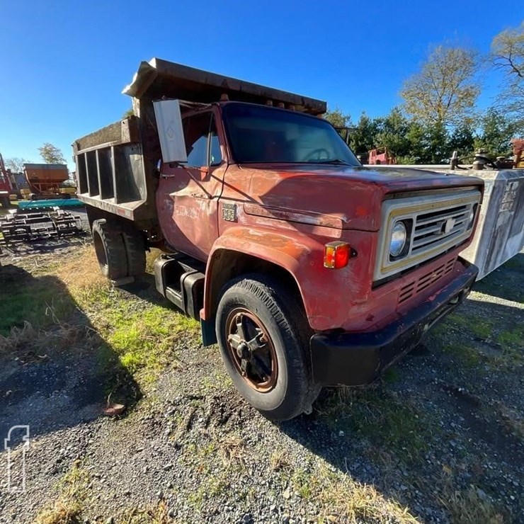 1976 CHEVROLET C65