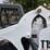 bobcat-t190-image-15