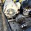 five-star-centrifugal-pump-image-1