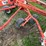 kuhn-ga4100th-image-13