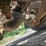 #15804-•-1998-mack-rd688s-dump-truck-image-109